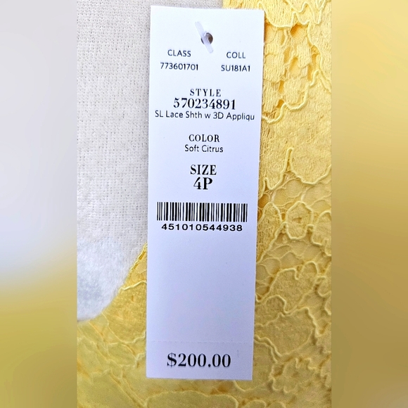 Lace Sheath Dress - Picture 4 of 9